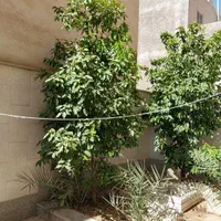 واحد مبله / امن /نزدیک به نمایشگاه بین المللی|اجارهٔ کوتاه‌مدت آپارتمان و سوئیت|اصفهان, پارک مشتاق|دیوار