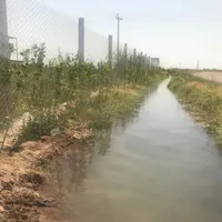 زمین کشاورزی گلخانه ای قزوین فارسیان|فروش دفتر صنعتی، کشاورزی، تجاری|قزوین, |دیوار