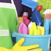 نظافت منزل یا فروشندگی