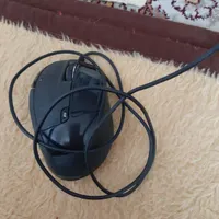 موس