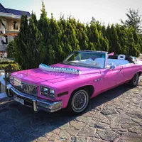 اجاره ماشین عروس کلاسیک قدیمی مجالس تشریفات کلیپ|خدمات پذیرایی، مراسم|تهران, صادقیه|دیوار