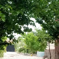 باغ ویلا اجاره ای دوبلکس استخر آبگرم شیرحصار|اجارهٔ کوتاه‌مدت ویلا و باغ|مشهد, گلبرگ شمالی|دیوار