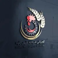 طراحی لوگو و آرم و برند بنر کارت ویزیت سربرگ