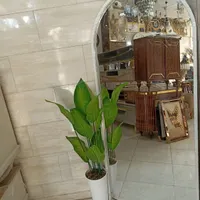 آینه قدی چوبی|آینه|فردوسیه, |دیوار
