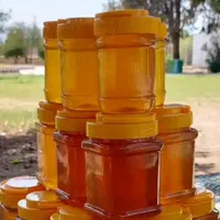 عسل طبیعی/معجون تقویتی/کندو/ژل رویال/تضمینی و سالم|خوردنی و آشامیدنی|شیراز, سینما سعدی|دیوار