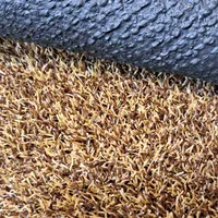 چمن مصنوعی رنگ قهوهای، طلایی|مصالح و تجهیزات ساختمان|تبریز, |دیوار