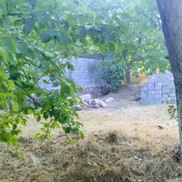 باغ کهنسال دیوار(دستجرد گیو)معاوضه|فروش دفتر صنعتی، کشاورزی، تجاری|قم, زنبیل آباد|دیوار