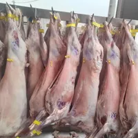 فروش گوشت گوسفندی