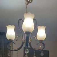 2عدد لوستر
