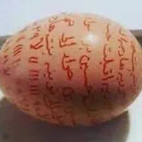 تخم مرغ پیام بزارید