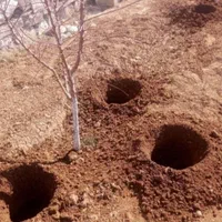 کود چاله کن تکنو فارمر|ماشینآلات صنعتی|تهران, دستغیب|دیوار