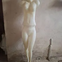 تعدادی مانکن و یک ریال چرخان|فروشگاه و مغازه|کرمان, |دیوار