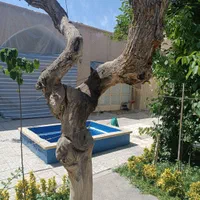 کلنگی قدیمی تمیزقابل سکونت فقط متری ۱۷ م درمرکزشهر|فروش زمین و ملک کلنگی|اصفهان, خرم|دیوار