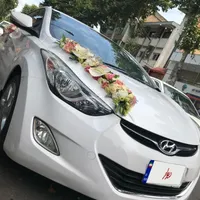 ماشین عروس انواع مختلف در گیلان