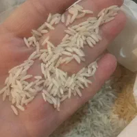 برنج هاشمی گیلان|خوردنی و آشامیدنی|تهران, نظام‌آباد|دیوار