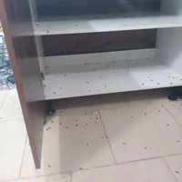 سمپاشی سوسک ساس سم پاشی موش کنه کک گال  تضمینی|خدمات نظافت|مشهد, شهید معقول|دیوار