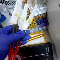 هیرفیلر.جوانساز صورت‌.prp