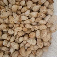 خریدو فروش انواع بادم و مغز بادام به قیمت تجاری|خوردنی و آشامیدنی|نجف‌آباد, جعفرآباد|دیوار