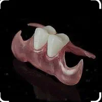 دندان مصنوعی پروتز دندان|خدمات آرایشگری و زیبایی|تهران, هاشمی|دیوار