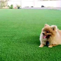 مرکز فروش چمن مصنوعی اصفهان|خدمات باغبانی و درختکاری|اصفهان, قائمیه|دیوار