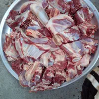 گوسفند زنده بهداشتی از وزن 35کیلوبه بالا باقصاب|حیوانات مزرعه|قدس, |دیوار