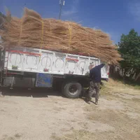 جاروشهرداری|عمده‌فروشی|کرج, برغان|دیوار