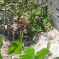 باغچه ۴۷۵متری چهاردیواری