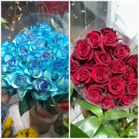 رز طبیعی|گل مصنوعی|بیرجند, |دیوار