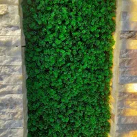 دیوار سبز تبریز چمن|مصالح و تجهیزات ساختمان|تبریز, |دیوار