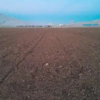اجاره یکساله ۱۸ هکتار زمین کشاورزی با چاه آب۶ اینچ|اجارهٔ دفتر صنعتی، کشاورزی، تجاری|اندیمشک, |دیوار
