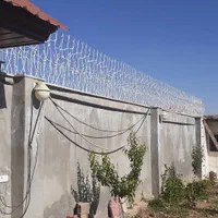 تولید کننده انواع حفاظ شاخ گوزنی|خدمات پیشه و مهارت|تهران, شادآباد|دیوار