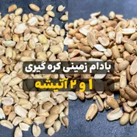 پودر نارگیل چرب و خشک سریلانکا و اندونزی|عمده‌فروشی|ری, منصوریه منگل|دیوار