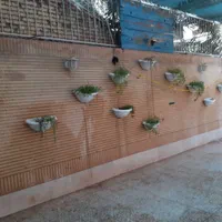 گل وگیاه تعویض خاک گل وگیاه آپارتمانی و باغچه|خدمات باغبانی و درختکاری|اهواز, کیانپارس |دیوار