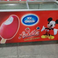 فریزر  صندوقی۳۰۰ لیتری