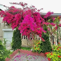 خونه باغی ۲۲۰ متر/سنددار/مازند ران