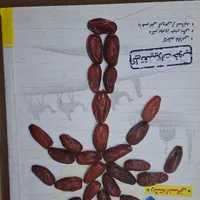 کتاب کنکوری تست زنی انسانی|کتاب و مجله آموزشی|مشهد, کوی المهدی|دیوار