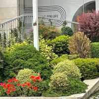 استخدام باغبان
