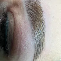 آموزش تاتو چهره و بدن|خدمات آموزشی|رشت, دیلمان|دیوار