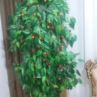 بخاطر نداشتن جا|گل مصنوعی|تبریز, |دیوار