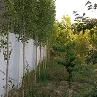 باغ ویلایی 540متر 220بنا در مهرآباد رودهن|فروش خانه و ویلا|رودهن, |دیوار