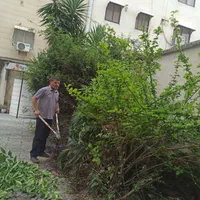 کاشت و نگهداری گل و سم و کود وجین هرس