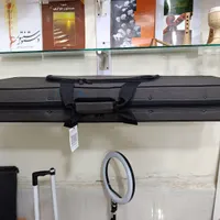 سنتور دو مهر موسوی