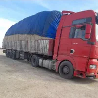 باگاس نیشکر کاه نیشکر جایگزین کاه گندم،. بصرفه|حیوانات مزرعه|اصفهان, آزادگان|دیوار