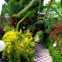 اجاره باغ ویلا استخر آبگرم شیراز