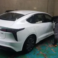 لونا برقی