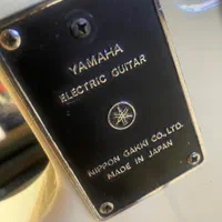 گیتار بیس حرفه ای ژاپنی یاماها Yamaha آکبند کمیاب|گیتار، بیس، امپلیفایر|تهران, سازمان برنامه شمالی|دیوار