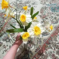گل های مصنوعی در حد نو|گل مصنوعی|تبریز, |دیوار