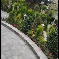 خدمات باغبانی‌و‌باغبان‌سیار‌به‌تمام‌نقاط‌تهران|خدمات باغبانی و درختکاری|تهران, سعادت‌آباد|دیوار