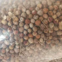 جهت ساختن مهره هسته خرما|بدلیجات|گرگان, |دیوار