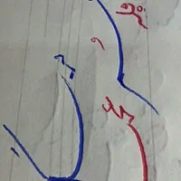 آموزش خوشنویسی ،خط تحریری|خدمات آموزشی|اهواز, کوی مهدیس|دیوار